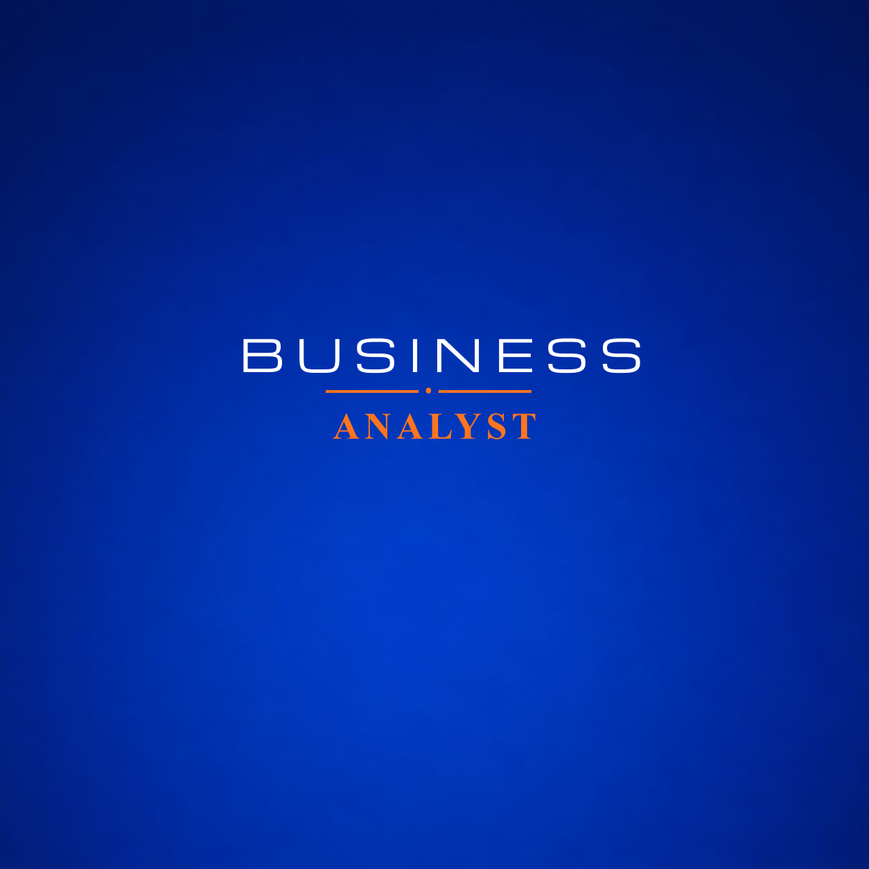 Business Analyst